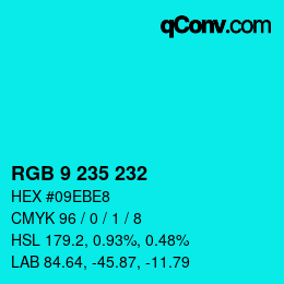 Color code: RGB 9 235 232 | qconv.com