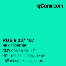 Color code: RGB 9 237 187 | qconv.com