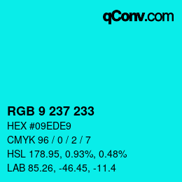 Color code: RGB 9 237 233 | qconv.com