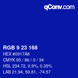 Color code: RGB 9 23 168 | qconv.com