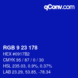 Color code: RGB 9 23 178 | qconv.com