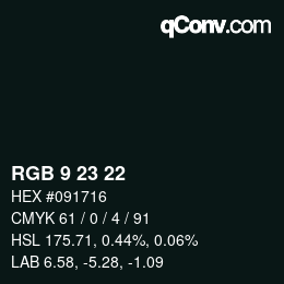 Color code: RGB 9 23 22 | qconv.com