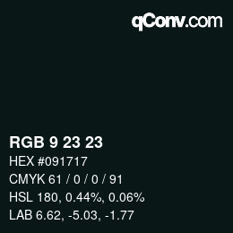 Color code: RGB 9 23 23 | qconv.com