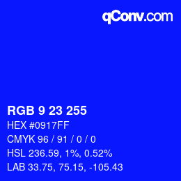 Color code: RGB 9 23 255 | qconv.com