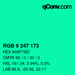 Color code: RGB 9 247 173 | qconv.com
