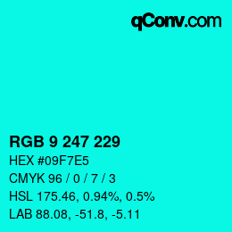 Color code: RGB 9 247 229 | qconv.com