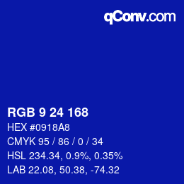 Color code: RGB 9 24 168 | qconv.com