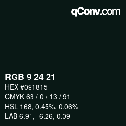颜色代码: RGB 9 24 21 | qconv.com