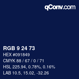 Color code: RGB 9 24 73 | qconv.com