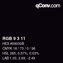 Color code: RGB 9 3 11 | qconv.com