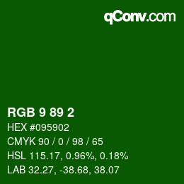 カラーコード: RGB 9 89 2 | qconv.com