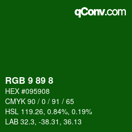 颜色代码: RGB 9 89 8 | qconv.com