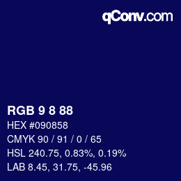 Color code: RGB 9 8 88 | qconv.com