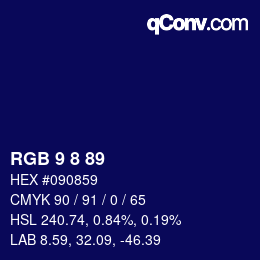 Color code: RGB 9 8 89 | qconv.com
