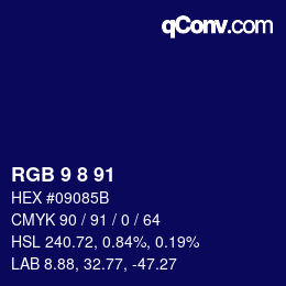 Color code: RGB 9 8 91 | qconv.com