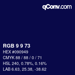 Color code: RGB 9 9 73 | qconv.com