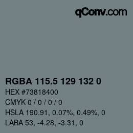 Farbcode: RGBA 115.5 129 132 0 | qconv.com