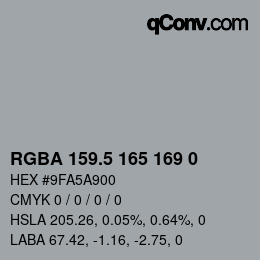 Color code: RGBA 159.5 165 169 0 | qconv.com