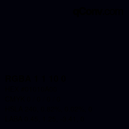 Color code: RGBA 1 1 10 0 | qconv.com