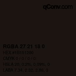 Color code: RGBA 27 21 18 0 | qconv.com