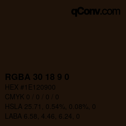 Color code: RGBA 30 18 9 0 | qconv.com