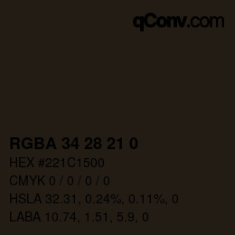 Color code: RGBA 34 28 21 0 | qconv.com