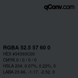 Color code: RGBA 52.5 57 60 0 | qconv.com