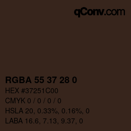 Color code: RGBA 55 37 28 0 | qconv.com