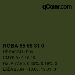 Color code: RGBA 55 65 31 0 | qconv.com
