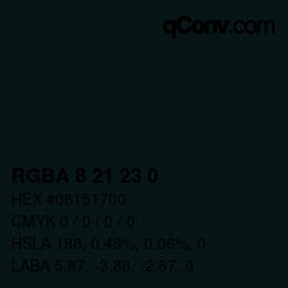 Farbcode: RGBA 8 21 23 0 | qconv.com