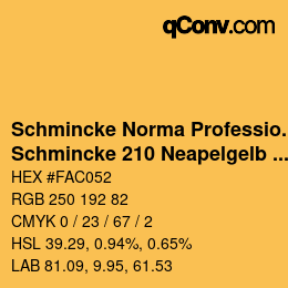 Code couleur: Schmincke Norma Professional - Schmincke 210 Neapelgelb dunkel | qconv.com