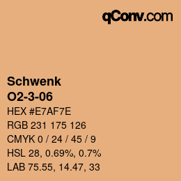 Color code: Schwenk - O2-3-06 | qconv.com