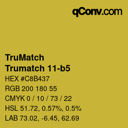 Code couleur: TruMatch - Trumatch 11-b5 | qconv.com