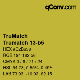 Código de color: TruMatch - Trumatch 13-b5 | qconv.com