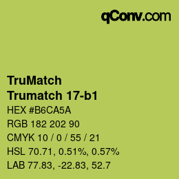 Color code: TruMatch - Trumatch 17-b1 | qconv.com