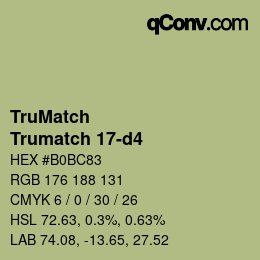 Code couleur: TruMatch - Trumatch 17-d4 | qconv.com