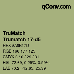 Code couleur: TruMatch - Trumatch 17-d5 | qconv.com