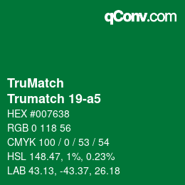 Color code: TruMatch - Trumatch 19-a5 | qconv.com