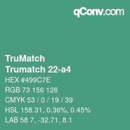 Color code: TruMatch - Trumatch 22-a4 | qconv.com