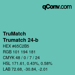 Color code: TruMatch - Trumatch 24-b | qconv.com