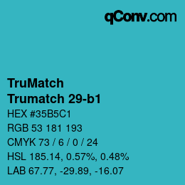 Color code: TruMatch - Trumatch 29-b1 | qconv.com