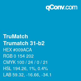 Color code: TruMatch - Trumatch 31-b2 | qconv.com