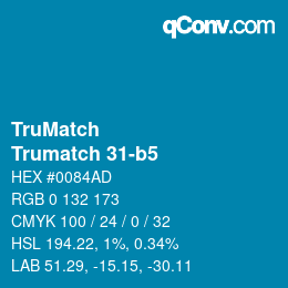 Color code: TruMatch - Trumatch 31-b5 | qconv.com