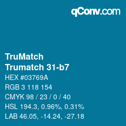 Color code: TruMatch - Trumatch 31-b7 | qconv.com