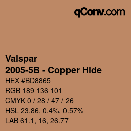 Color code: Valspar - 2005-5B - Copper Hide | qconv.com