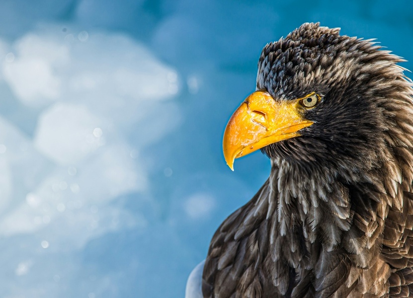 qConv-Upload - birger-strahl-k0wegNY_7sY-unsplash - 3