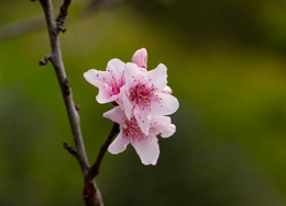 qConv-Upload - toby-hall-z1yWWprFHyw-unsplash - small