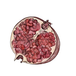 qConv-Upload - pomegranate final  - small
