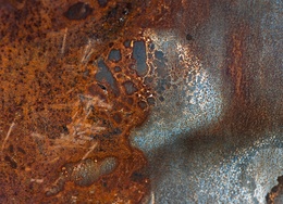 qConv-Upload - roger-bradshaw-I7P6dvv8a7k-unsplash - small