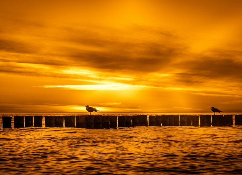 qConv-Upload - birger-strahl--SYtSp2vFyI-unsplash - 3